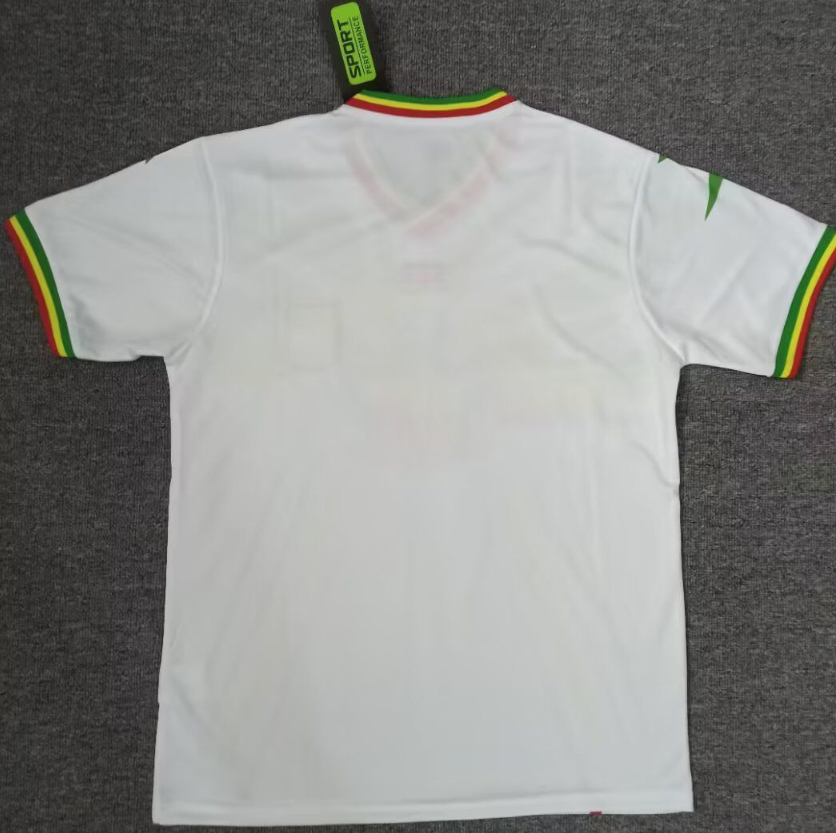 Maillot Domicile Equipe du Mali 2023- 2024 (Flocage Gratuit) – Image 3