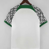 Maillot Extérieur Nigéria 2023-2024 2