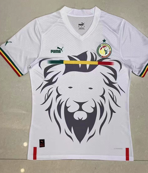 Maillot entrainement Senegal 1