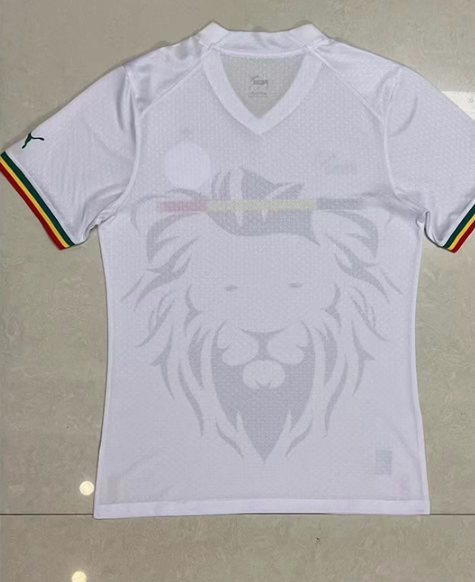 Maillot Training Equipe du Sénégal 2023- 2024 (Flocage Gratuit) – Image 2