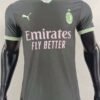 Milan Ac 2024-2025 Maillot Third 1