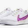 Nike Zoom court Pro Hc 1