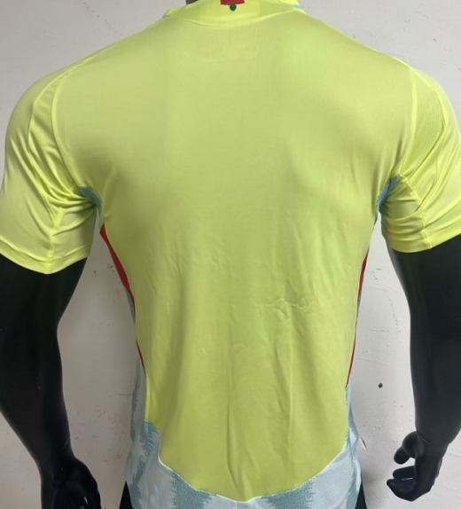 MAILLOT EXTERIEUR EQUIPE DE ESPAGNE 2024 2